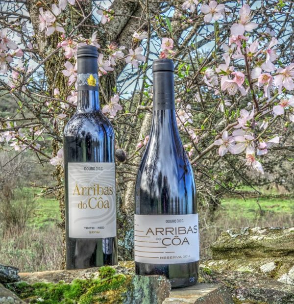 Arribas do Côa