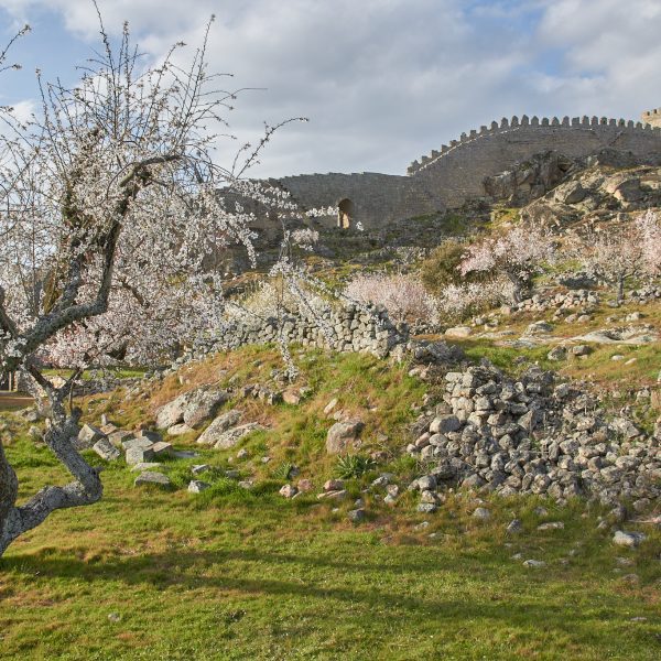Castelo de Numão