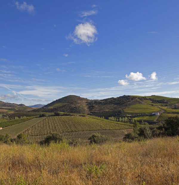 Conceito Vinhos