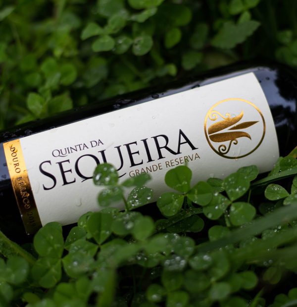 Quinta da Sequeira