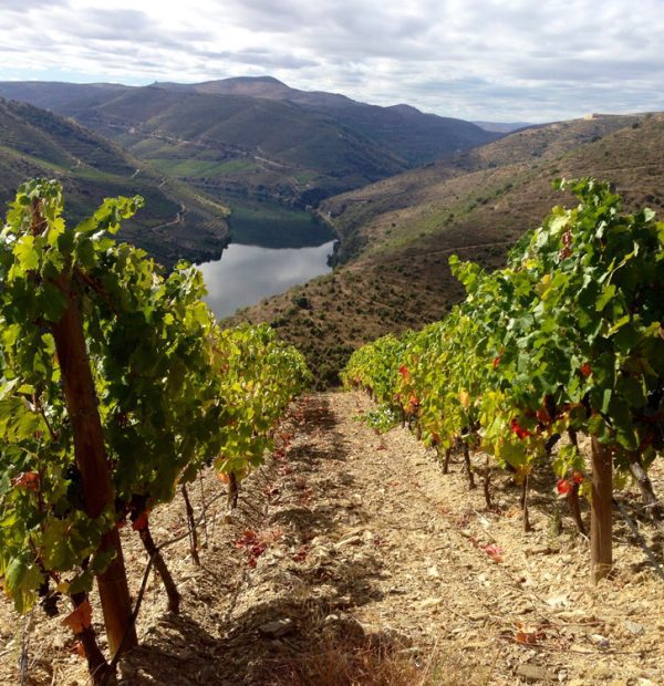 Quinta do Monte Xisto